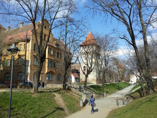 Turnul Sfatului din Sibiu
